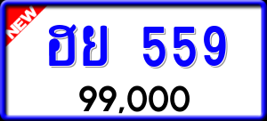 ทะเบียนรถ ฮย 559 ผลรวม 0